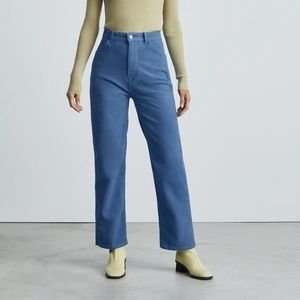 EVERLANE Moleskin Way High Straight Leg Pant